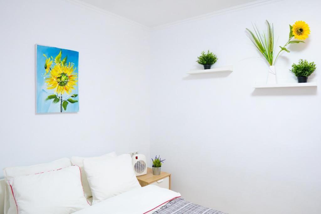 Sollana 18 Apartman Valencia Kültér fotó