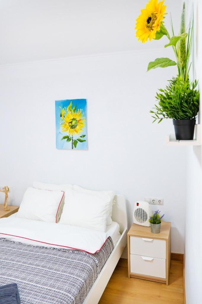 Sollana 18 Apartman Valencia Kültér fotó